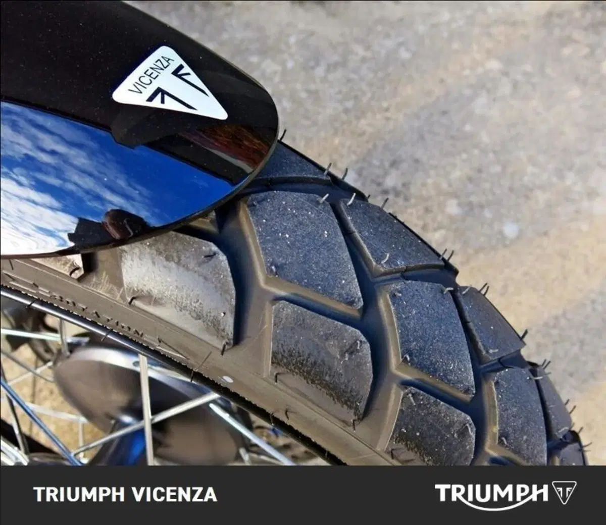 Triumph Scrambler 900 Icon Edition (2025 - 26) (8)