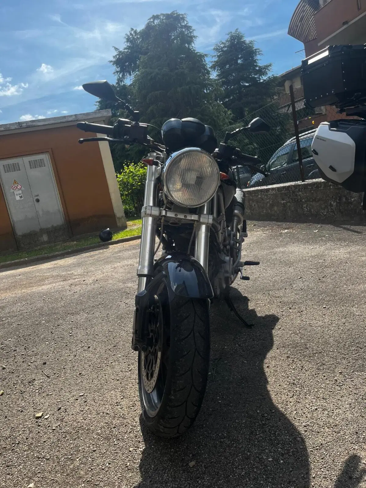 Ducati Monster 620 (2003 - 06) (4)
