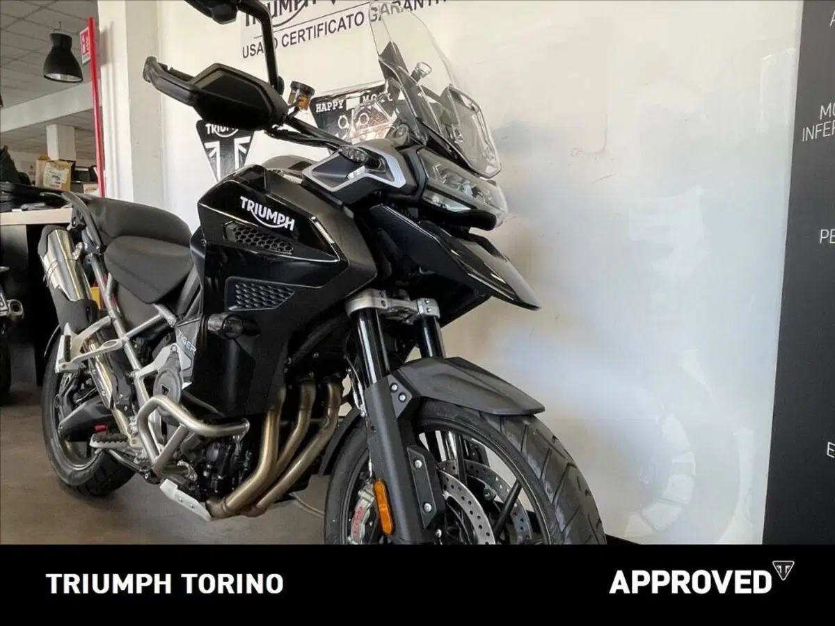 Triumph Tiger 1200 GT Explorer (2024 - 26) (5)
