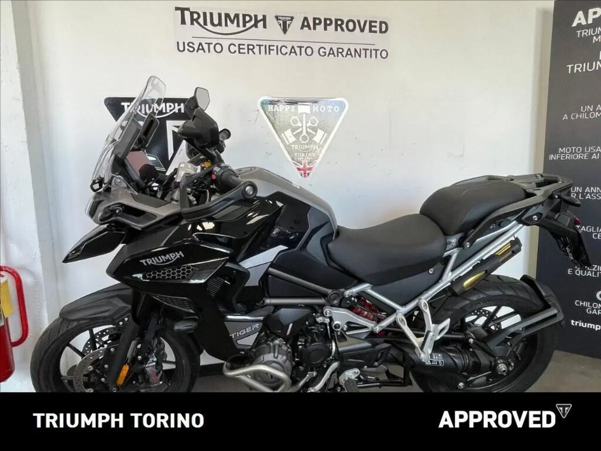 Triumph Tiger 1200 GT Explorer (2024 - 26) (2)