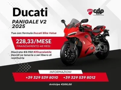 Ducati Panigale V2 (2025 - 26) usata