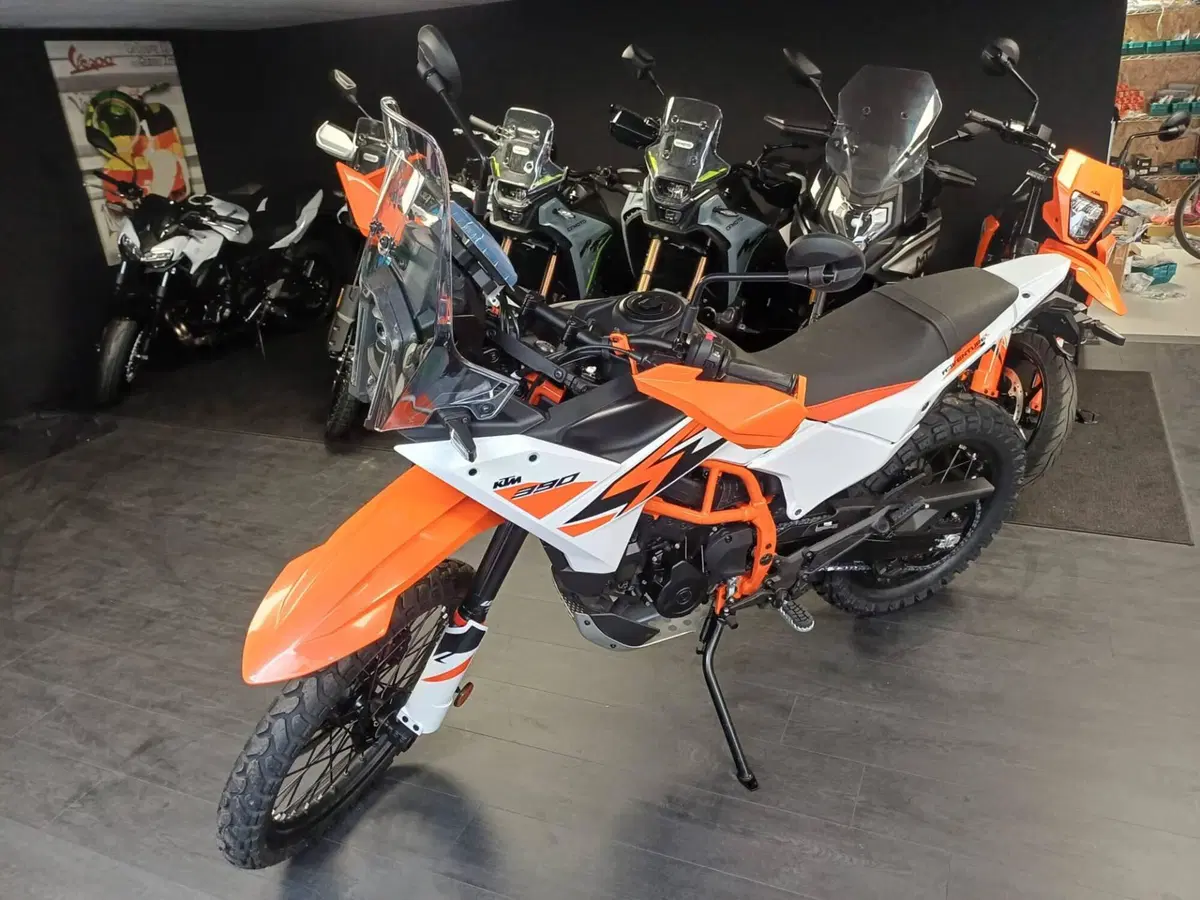 KTM 390 Adventure R (2025 - 26) (2)