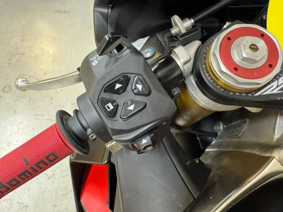 Aprilia RSV4 1100 (2021 - 24) (7)