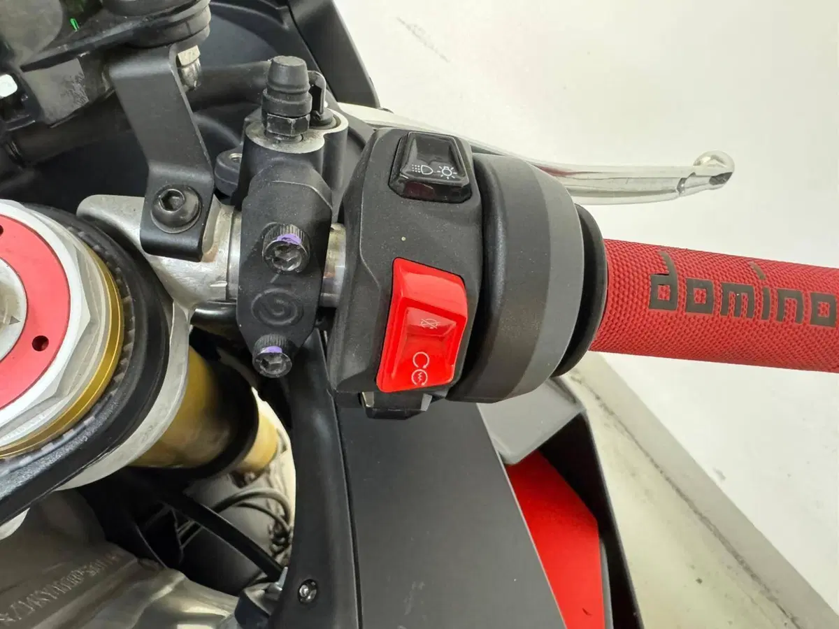 Aprilia RSV4 1100 (2021 - 24) (8)
