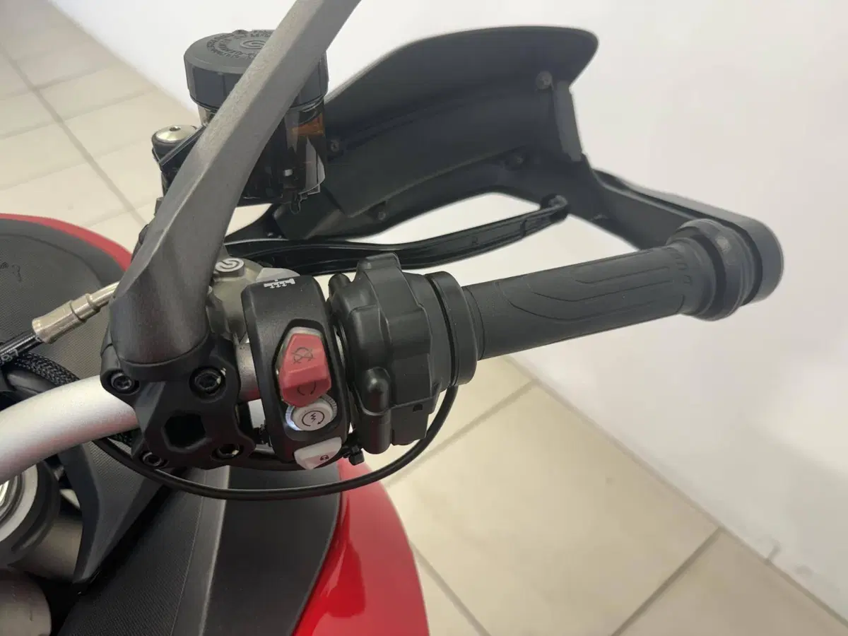 Ducati Multistrada 950 (2021) (11)