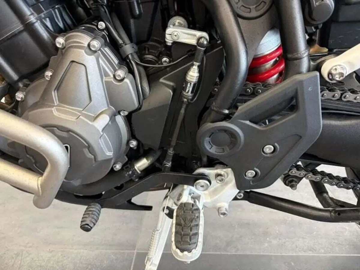 Triumph Tiger 900 GT Aragón Edition (2023 - 24) (10)