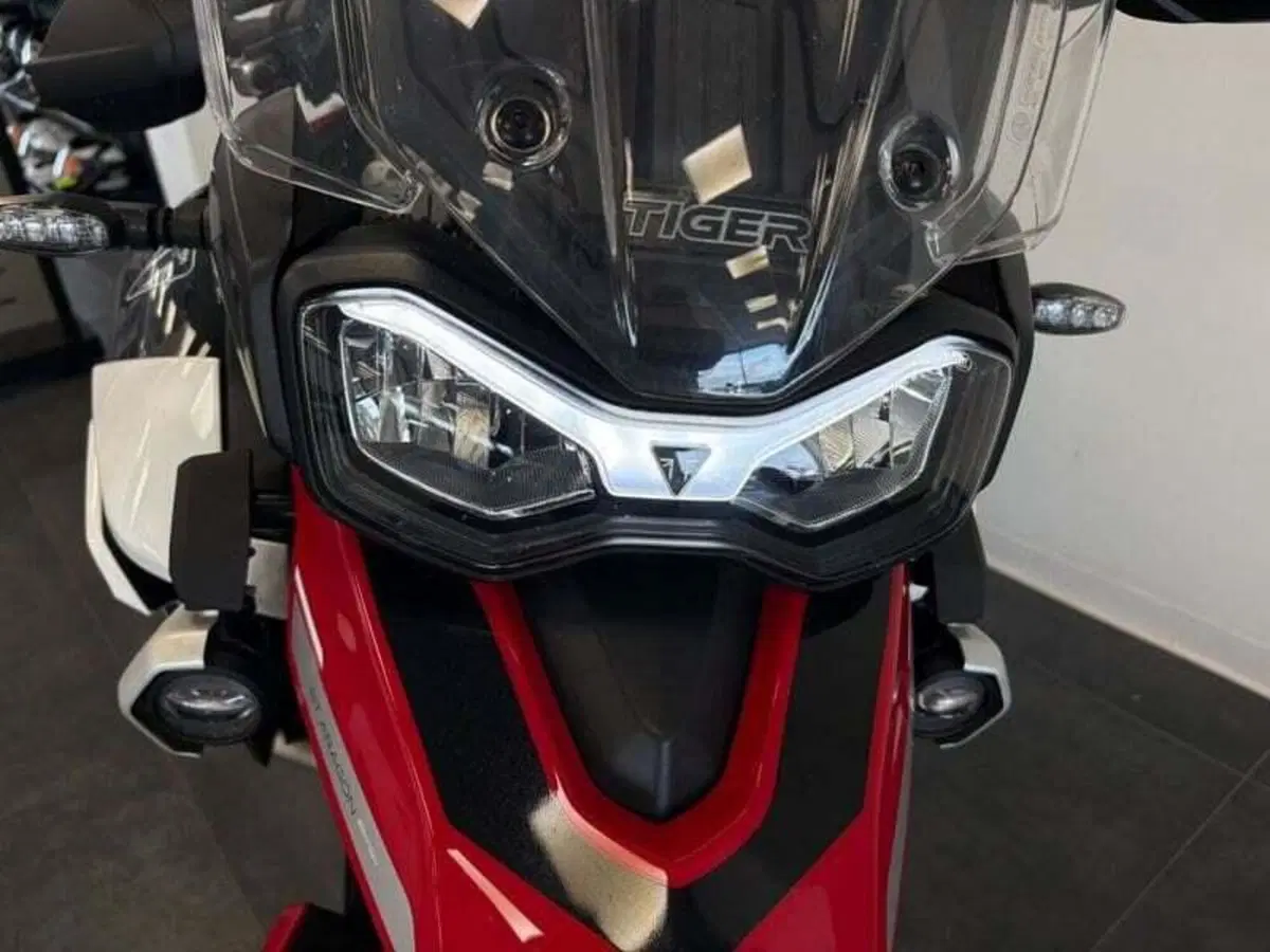 Triumph Tiger 900 GT Aragón Edition (2023 - 24) (2)