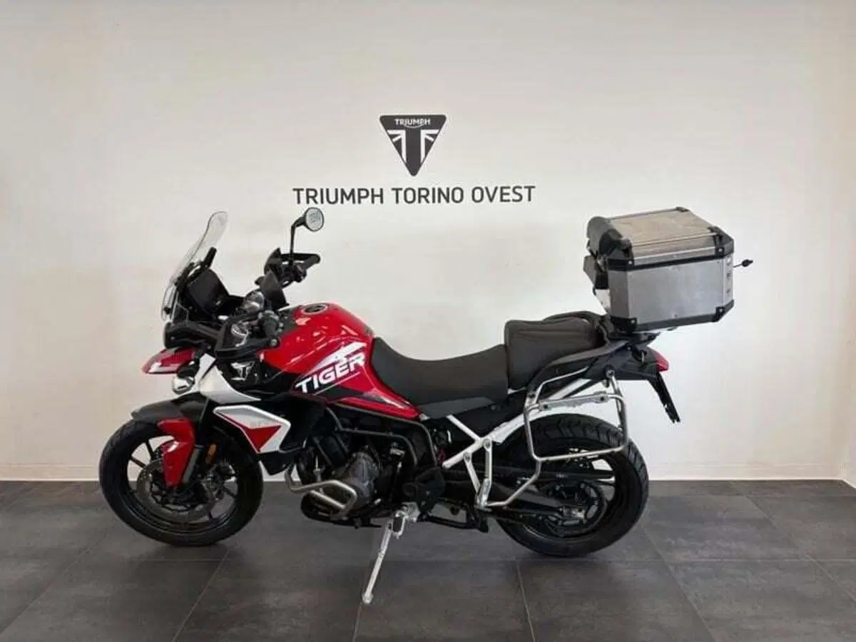 Triumph Tiger 900 GT Aragón Edition (2023 - 24) (3)