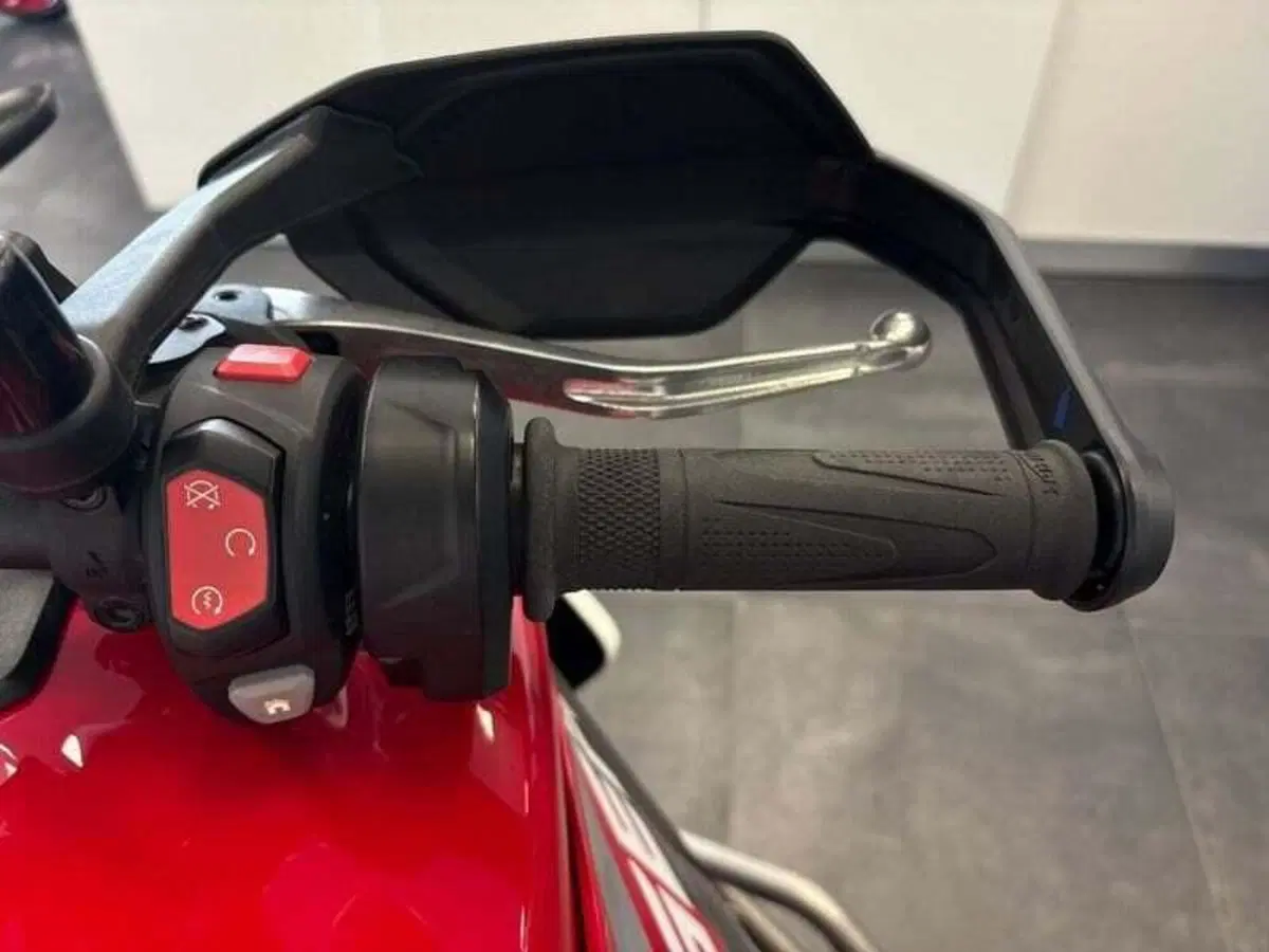 Triumph Tiger 900 GT Aragón Edition (2023 - 24) (6)