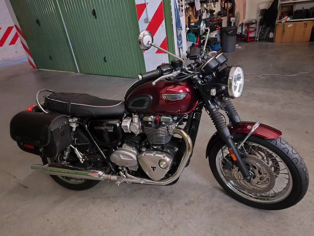 Triumph Bonneville T120 (2016 - 20) (6)
