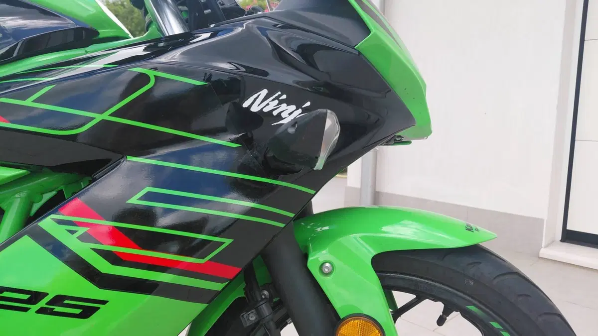 Kawasaki Ninja 125 Performance (2021 - 24) (4)