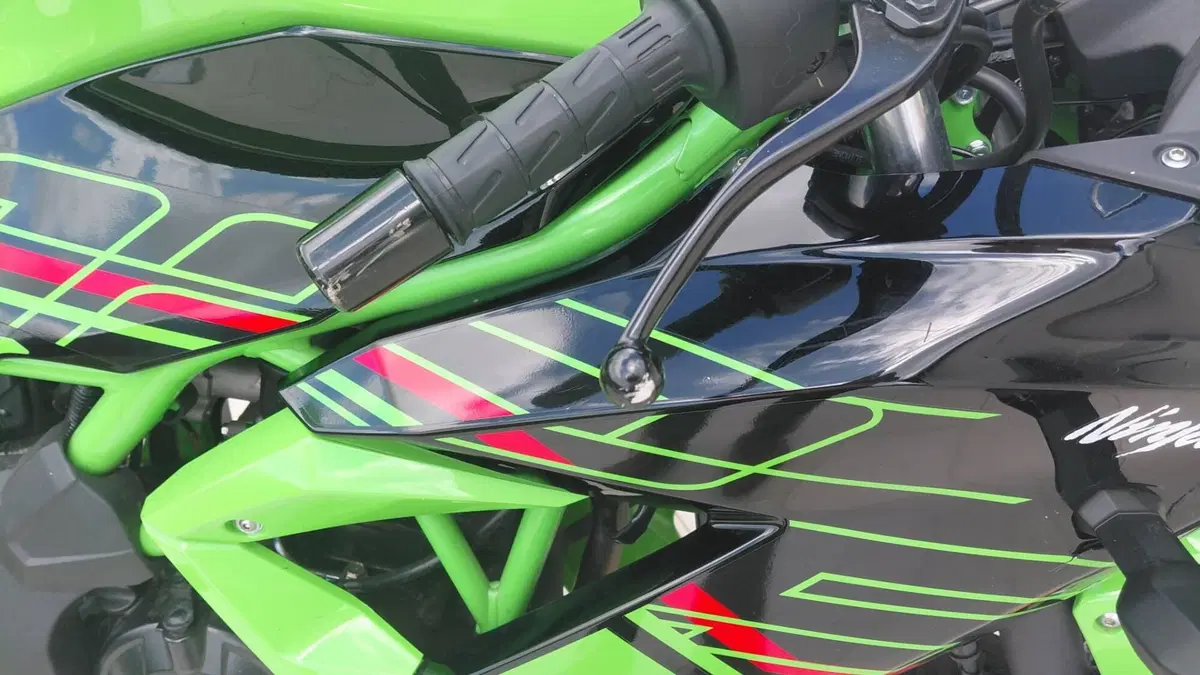 Kawasaki Ninja 125 Performance (2021 - 24) (5)