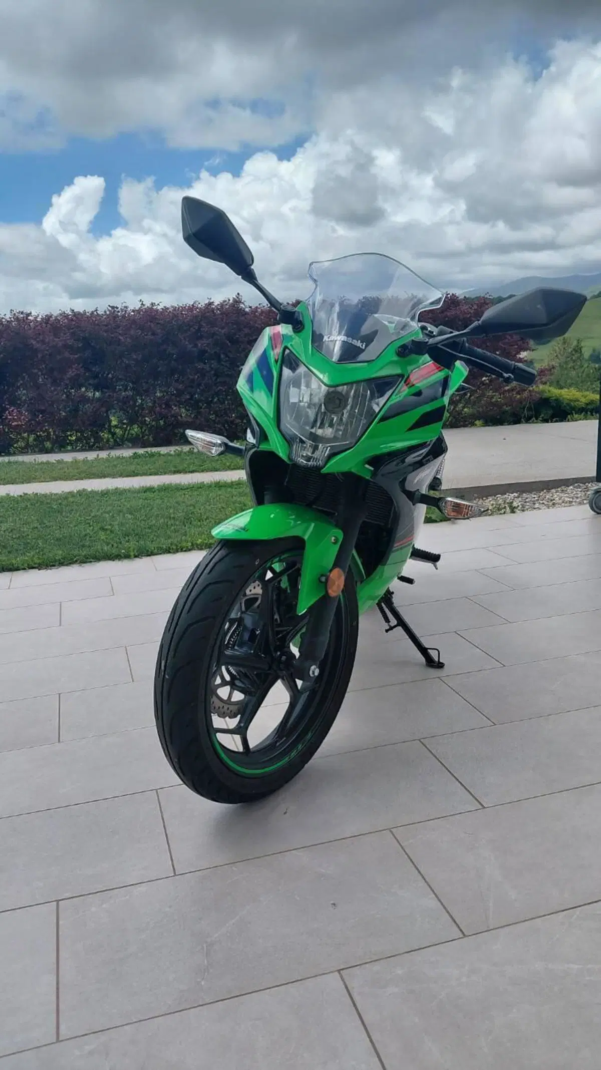 Kawasaki Ninja 125 Performance (2021 - 24) (6)