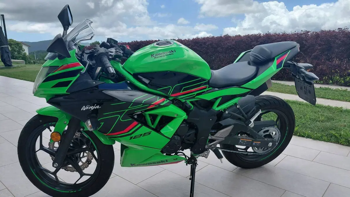 Kawasaki Ninja 125 Performance (2021 - 24) (7)