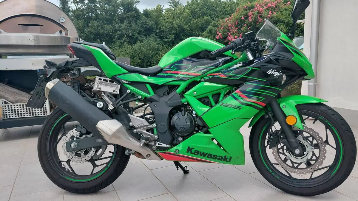 Kawasaki Ninja 125 Performance (2021 - 24)