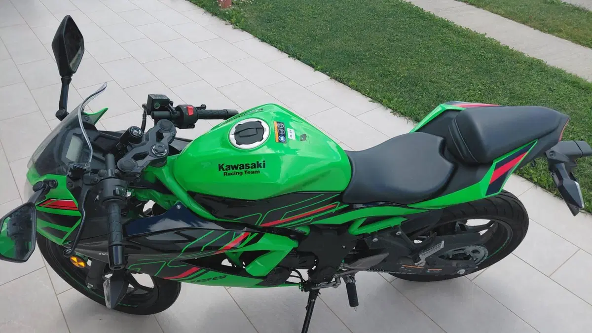 Kawasaki Ninja 125 Performance (2021 - 24) (8)