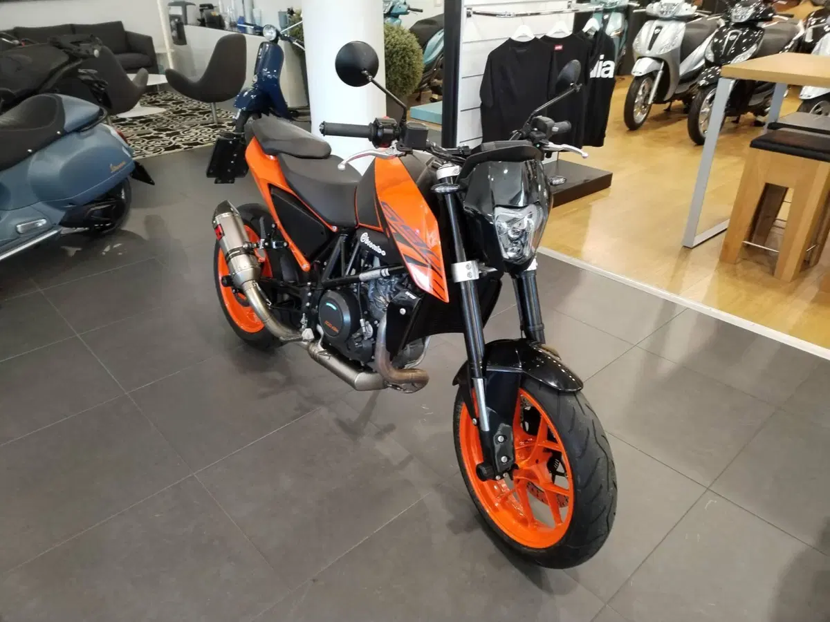 KTM 690 Duke (2016 - 19) (3)