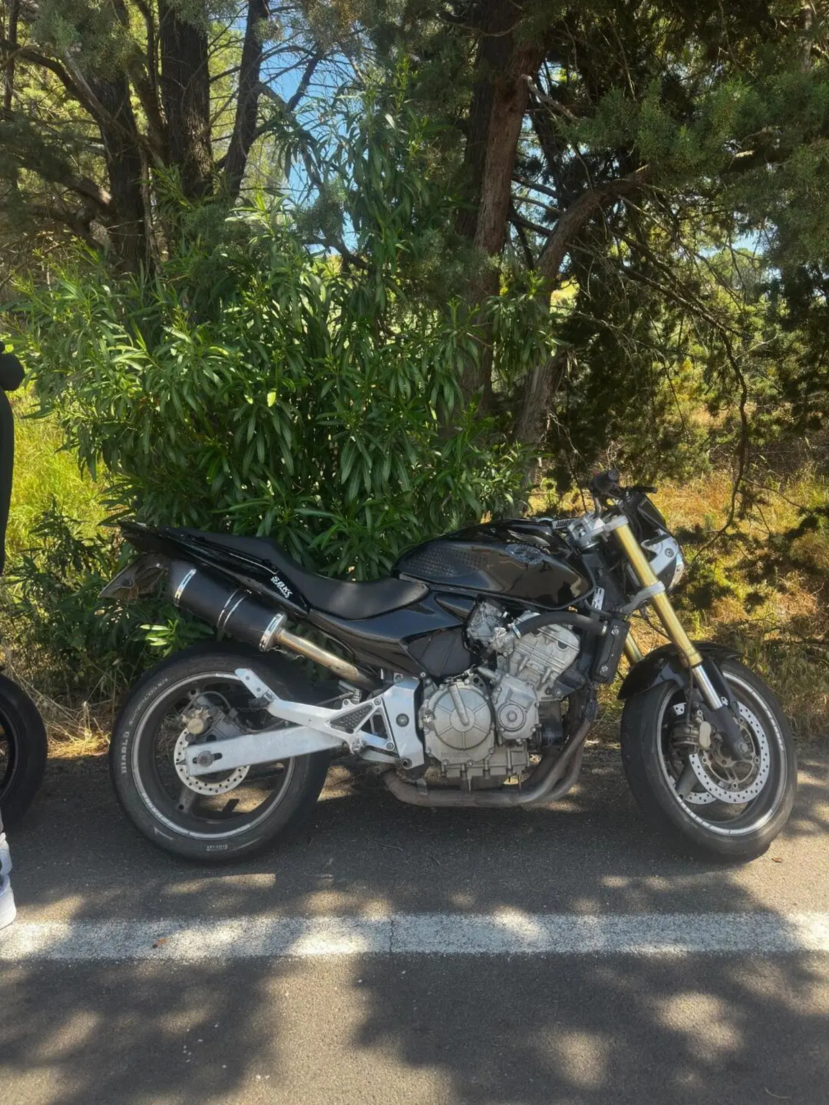 Honda CBF 600 ABS (2004 - 06)