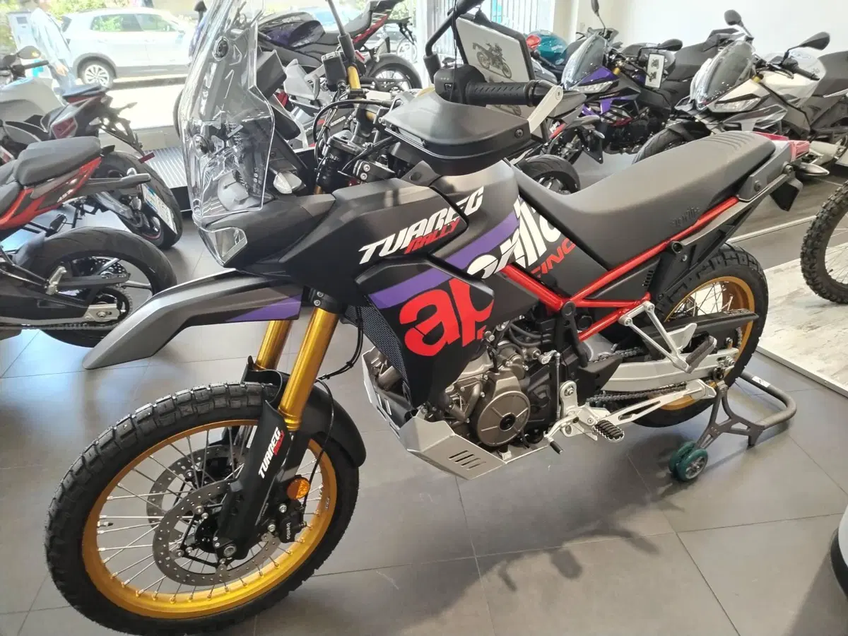 Aprilia Tuareg 660 Rally (2025 - 26) (3)
