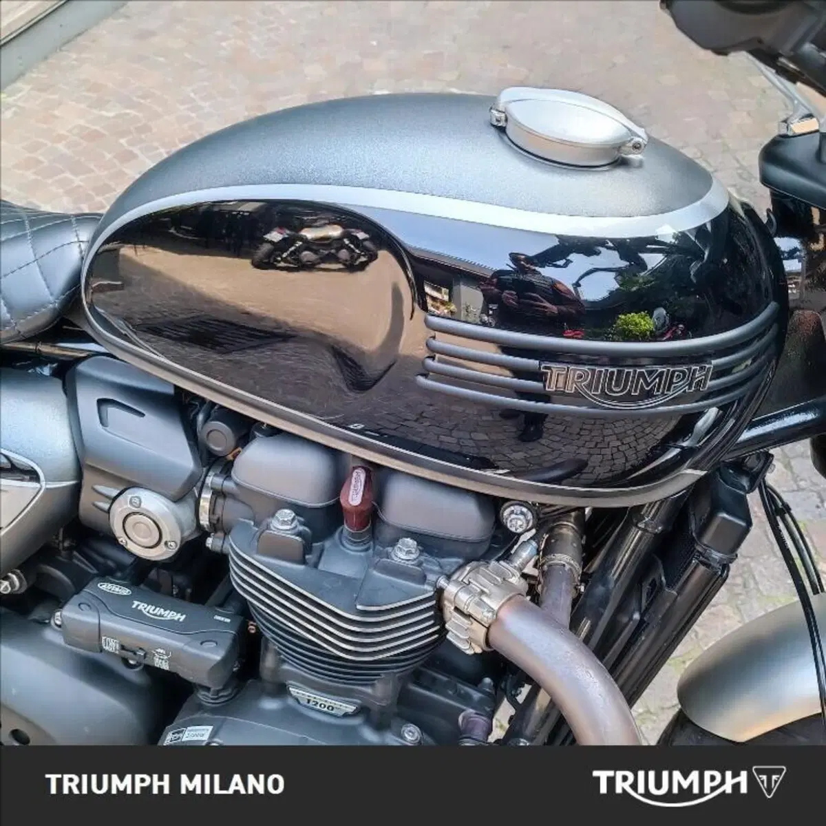 Triumph Speed Twin 1200 (2019 - 20) (3)