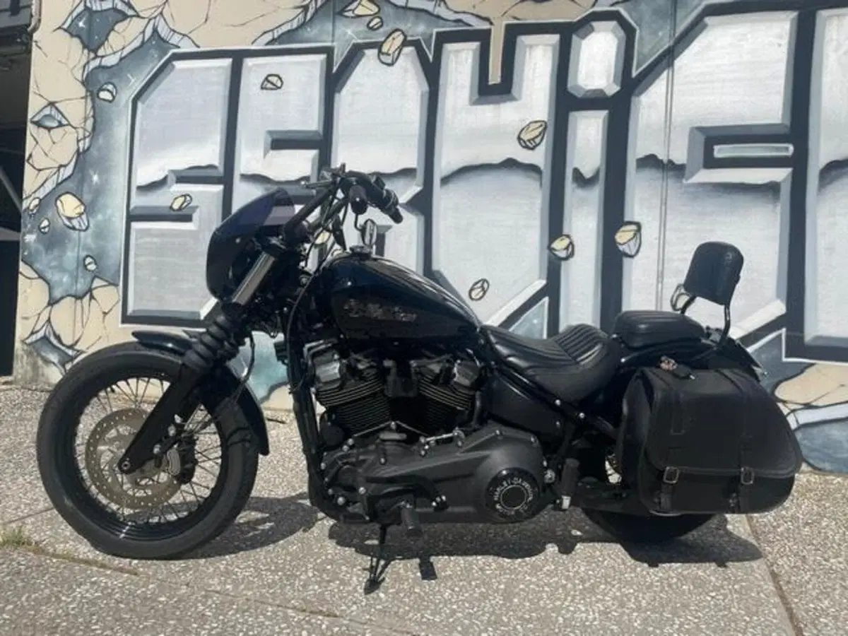 Harley-Davidson 107 Street Bob (2018 - 20) - FXBB (5)