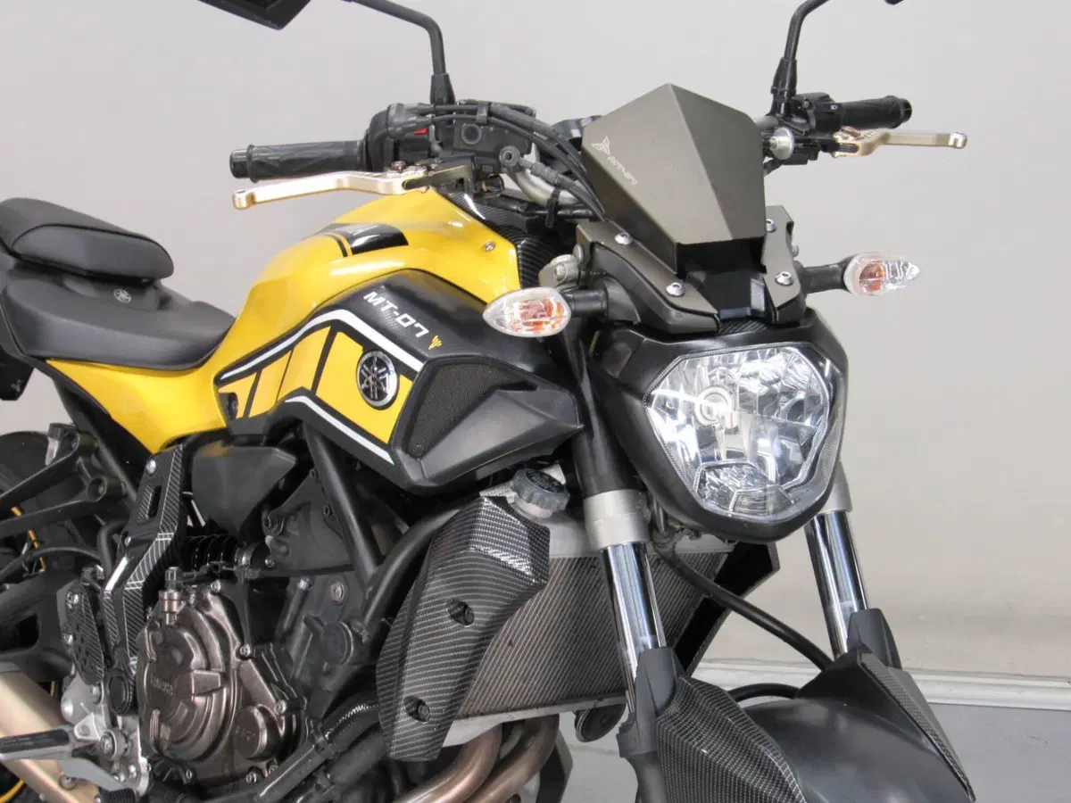 Yamaha MT-07 (2014 - 16) (10)