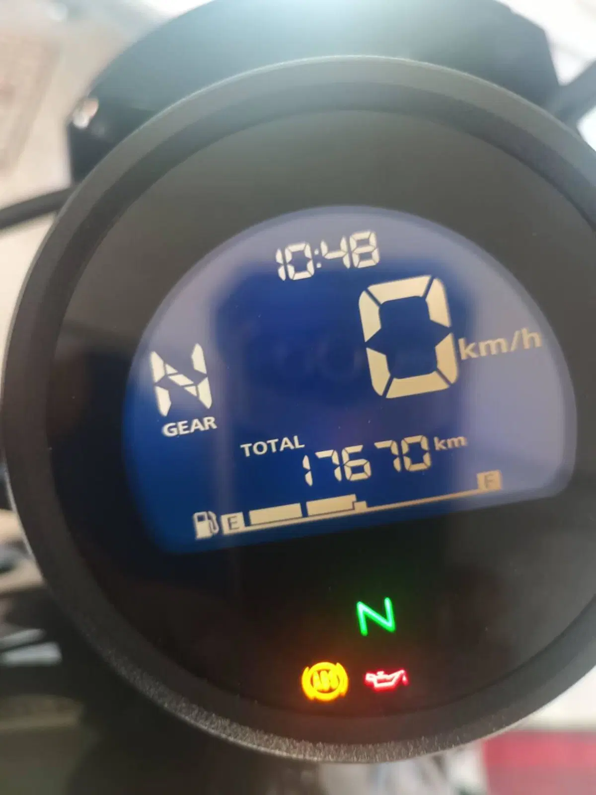 Honda CMX 500 Rebel (2022 - 24)