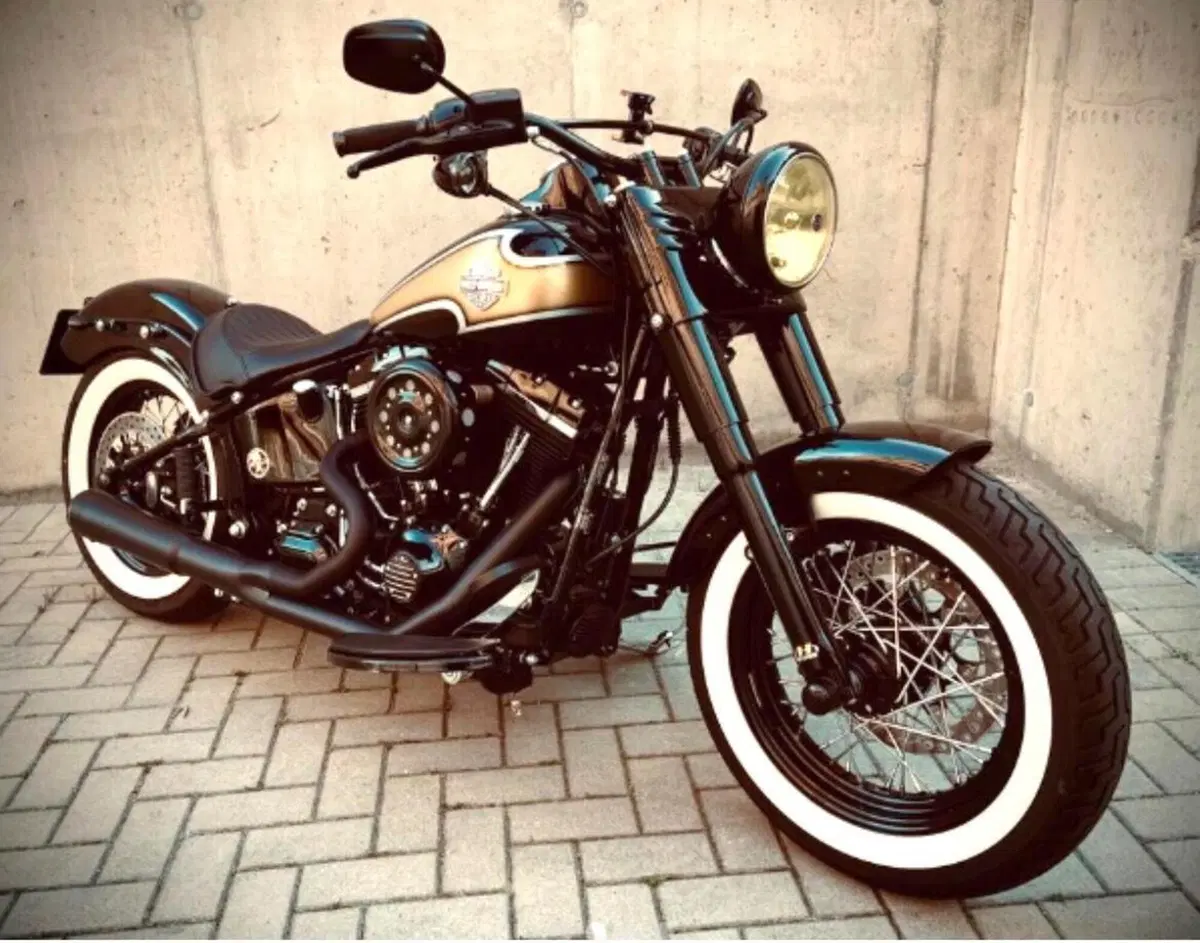Harley-Davidson 1690 Slim (2011 - 16) - FLS