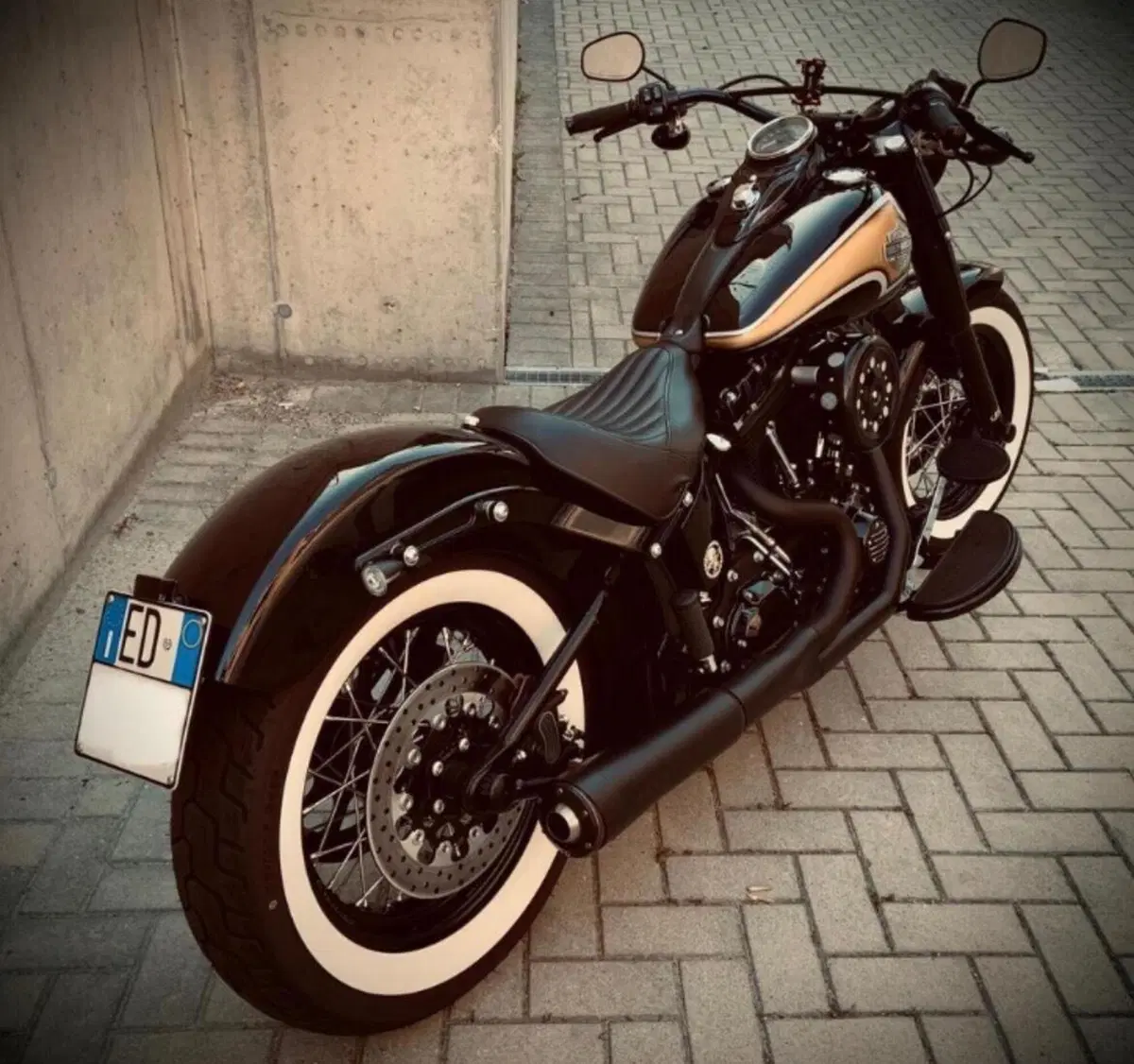 Harley-Davidson 1690 Slim (2011 - 16) - FLS (2)