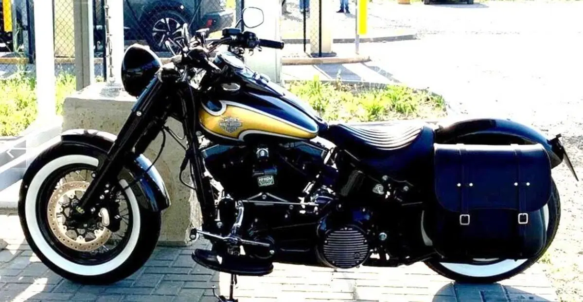 Harley-Davidson 1690 Slim (2011 - 16) - FLS (3)