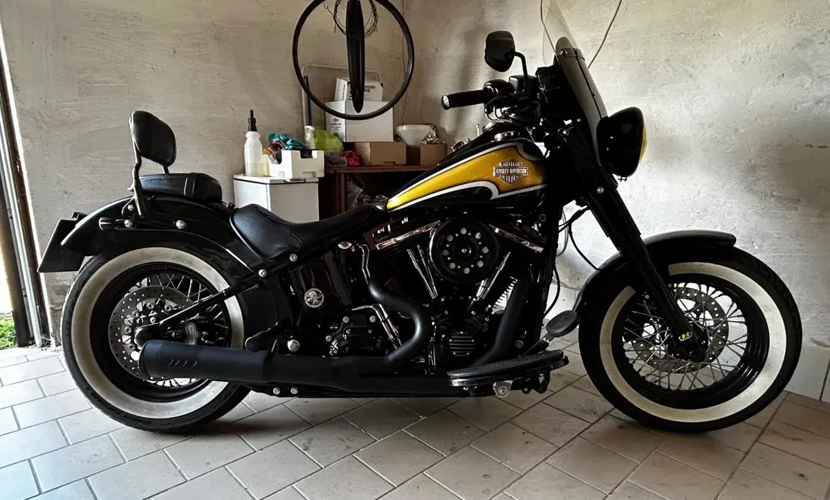 Harley-Davidson 1690 Slim (2011 - 16) - FLS (7)