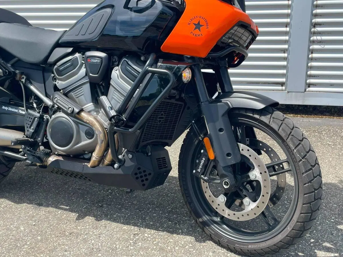 Harley-Davidson Pan America 1250 Special (2020 - 25) (3)