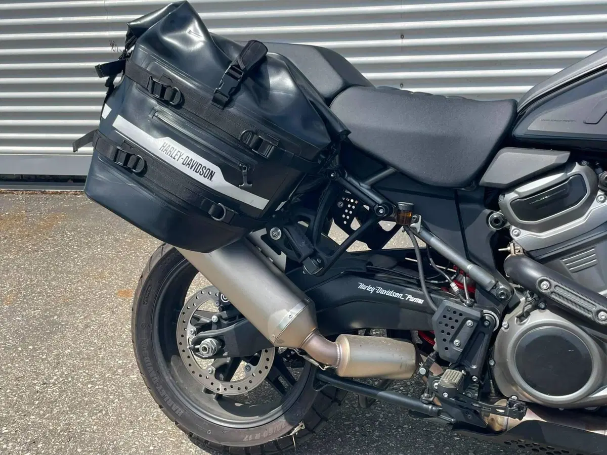 Harley-Davidson Pan America 1250 Special (2020 - 25) (4)
