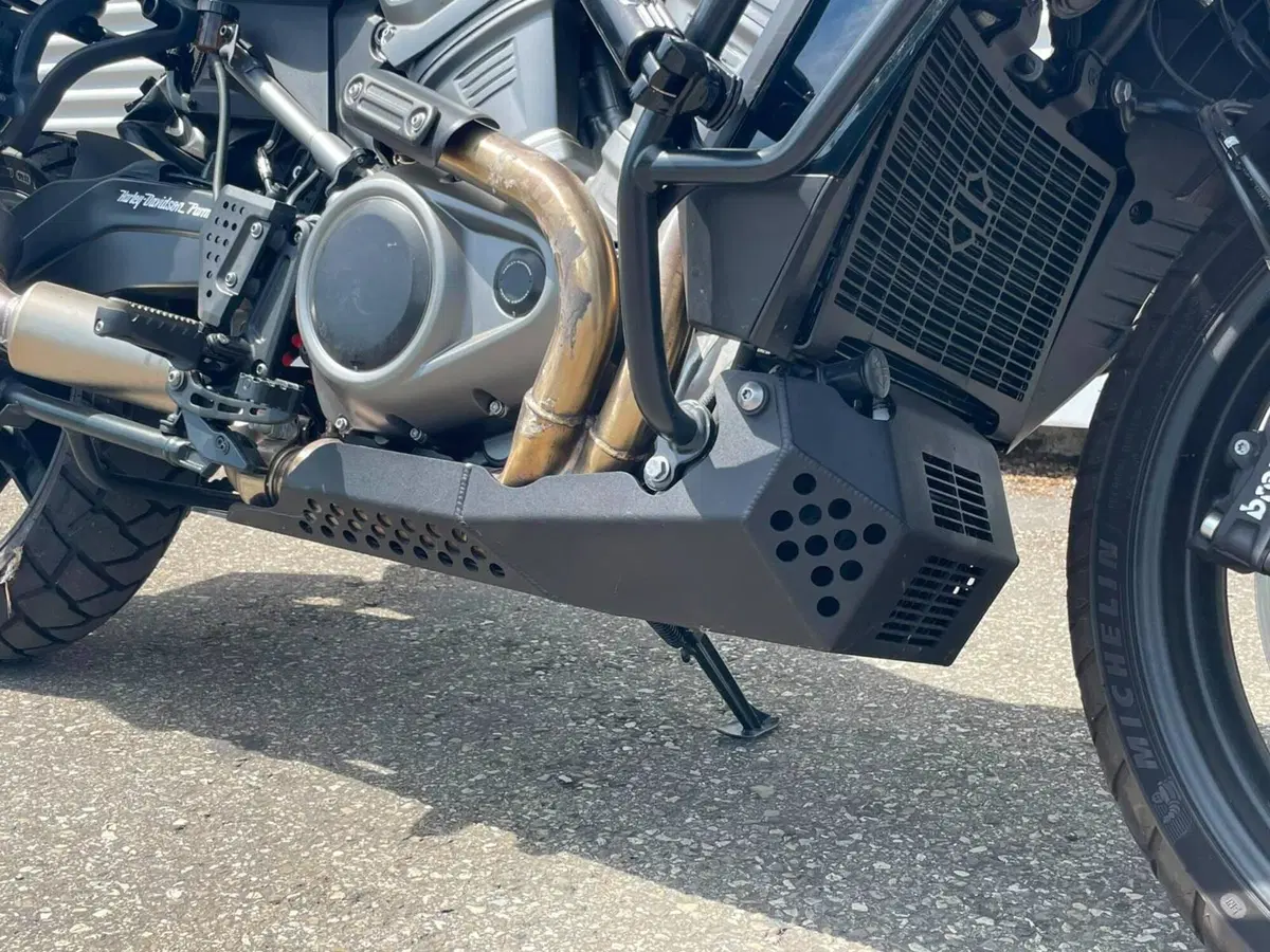 Harley-Davidson Pan America 1250 Special (2020 - 25) (6)