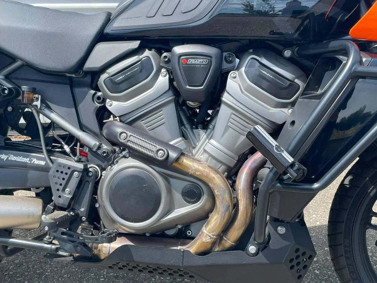 Harley-Davidson Pan America 1250 Special (2020 - 25) (7)
