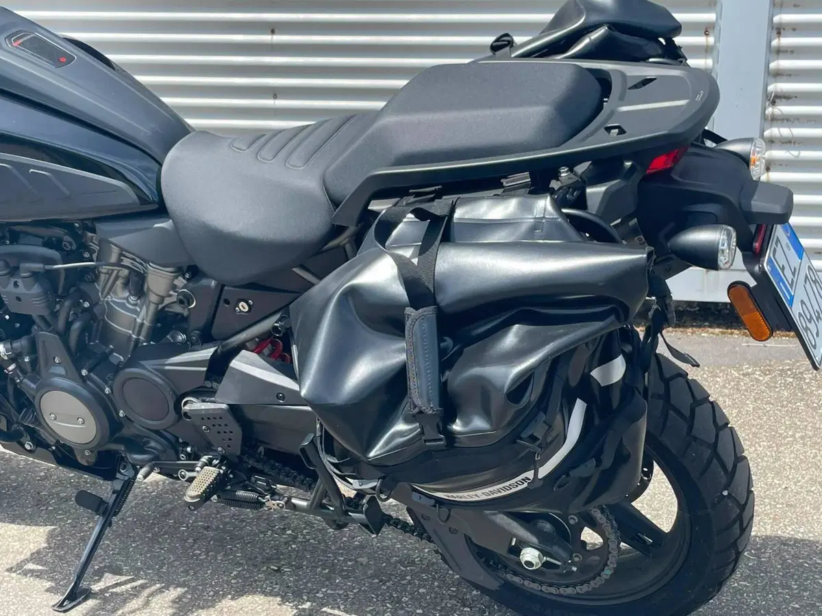 Harley-Davidson Pan America 1250 Special (2020 - 25) (10)