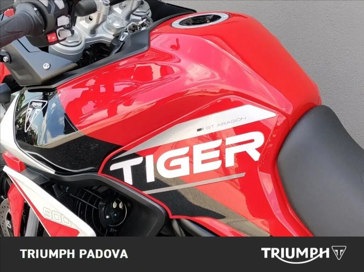 Triumph Tiger 900 GT Aragón Edition (2023 - 24) (9)