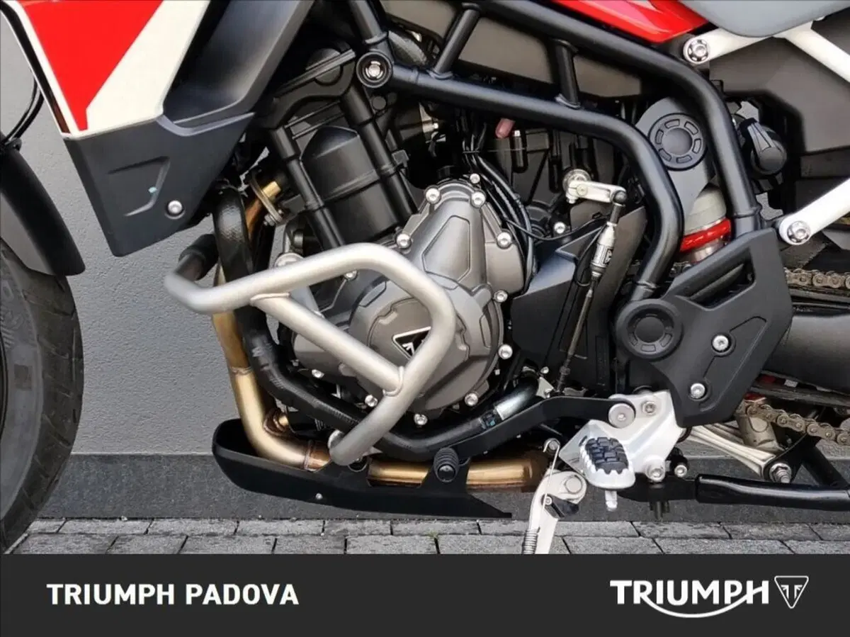 Triumph Tiger 900 GT Aragón Edition (2023 - 24) (8)