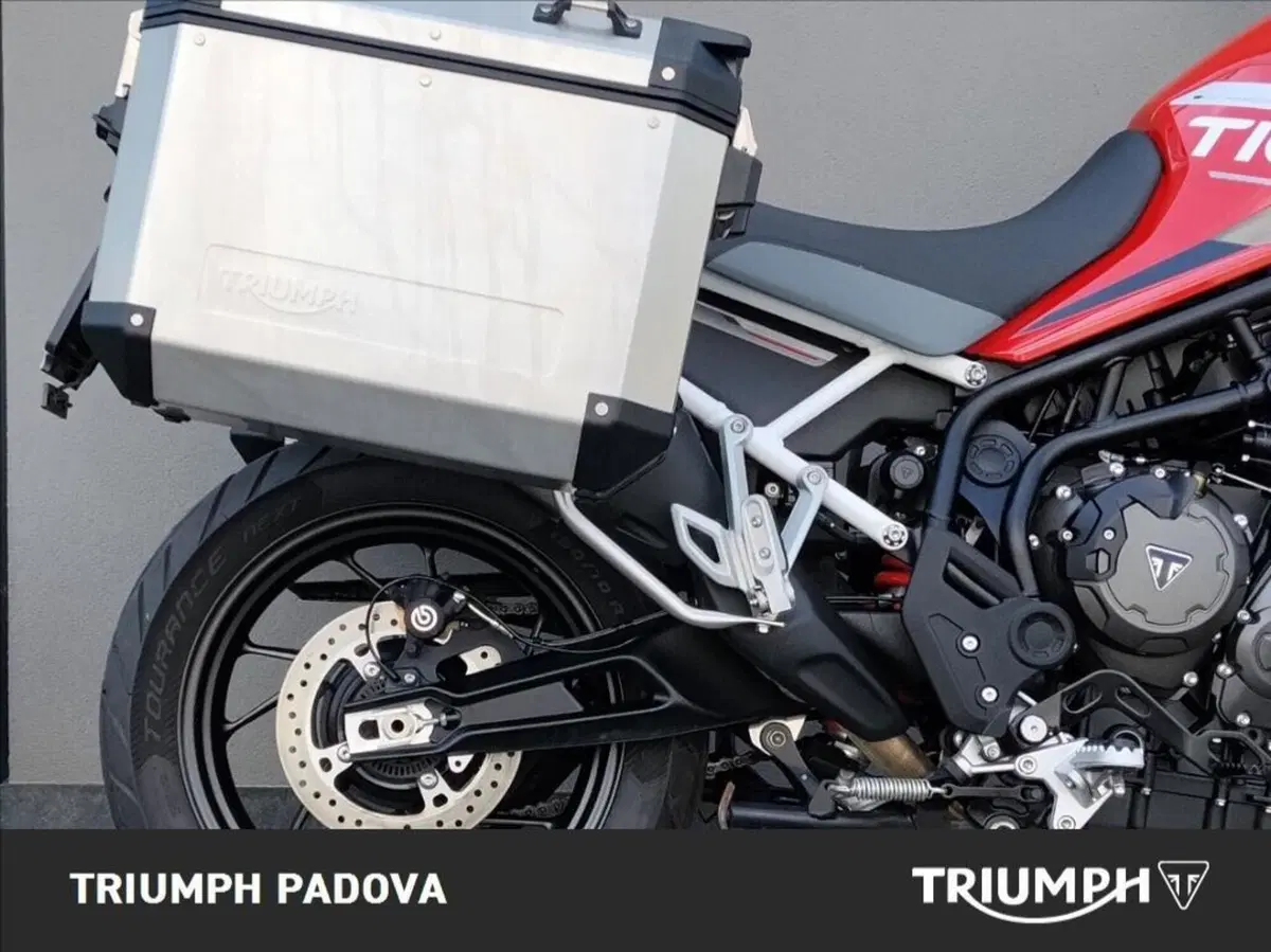 Triumph Tiger 900 GT Aragón Edition (2023 - 24) (2)