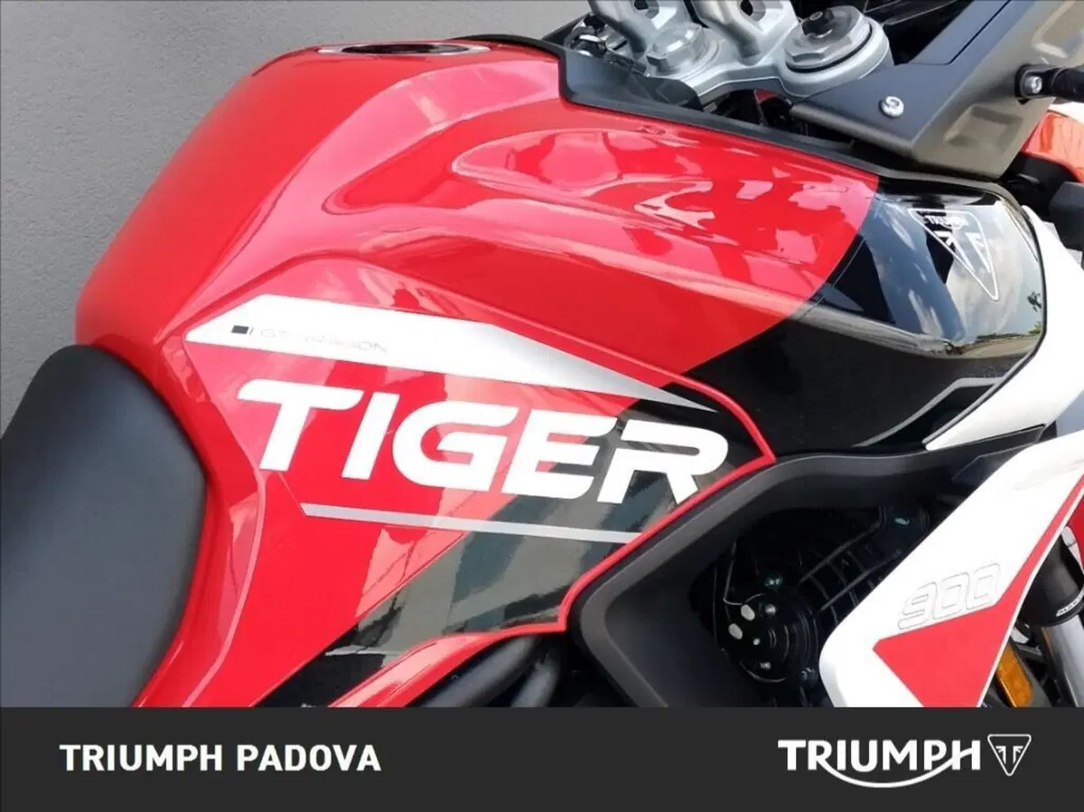 Triumph Tiger 900 GT Aragón Edition (2023 - 24) (4)