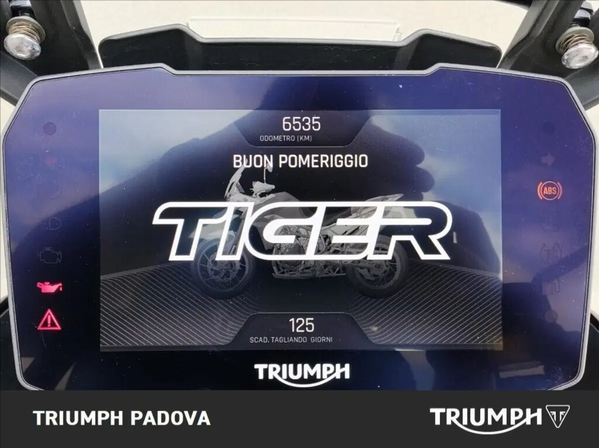 Triumph Tiger 900 GT Aragón Edition (2023 - 24) (13)