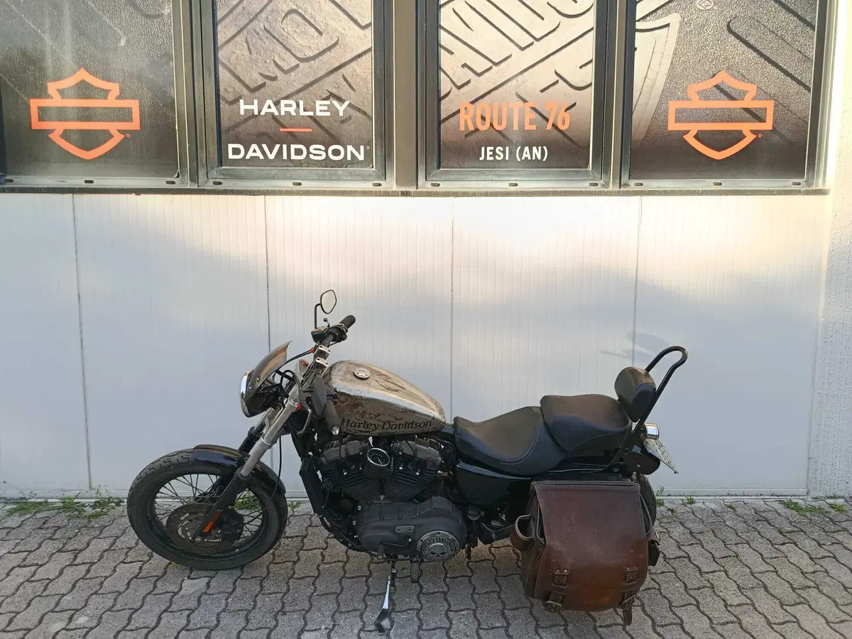 Harley-Davidson XL 1200N Nightster (2008 - 12) (5)