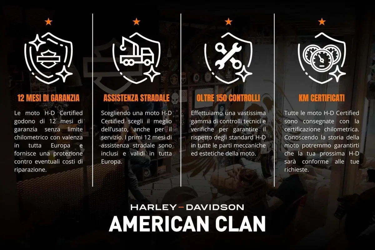 Harley-Davidson 1690 Deluxe ABS (2011 - 16) - FLSTN (3)