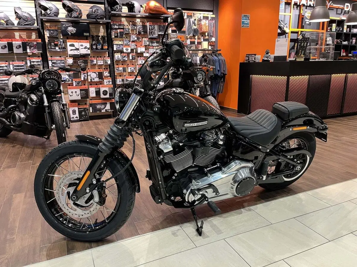 Harley-Davidson Street Bob 117 (2025 - 26) (5)