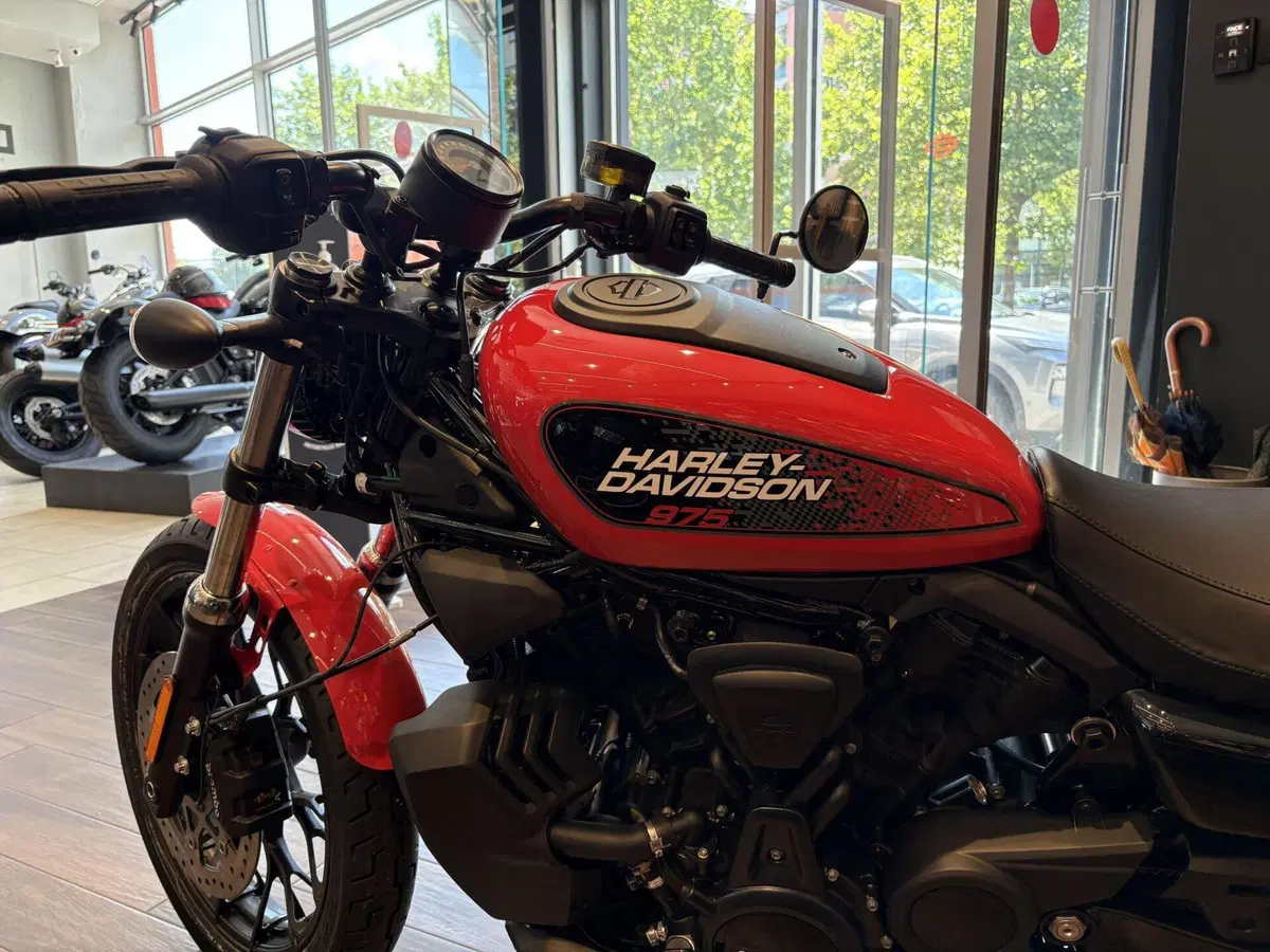 Harley-Davidson Nightster Special (2023 - 26) (2)