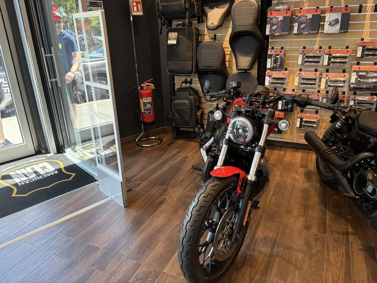 Harley-Davidson Nightster Special (2023 - 26) (4)