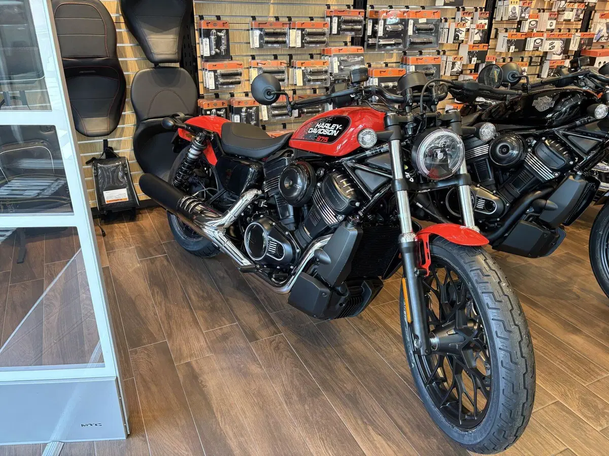 Harley-Davidson Nightster Special (2023 - 26) (5)
