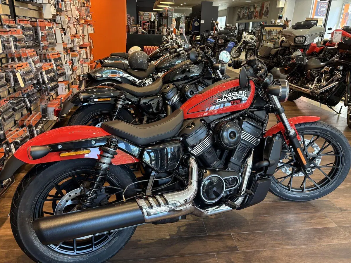 Harley-Davidson Nightster Special (2023 - 26) (6)
