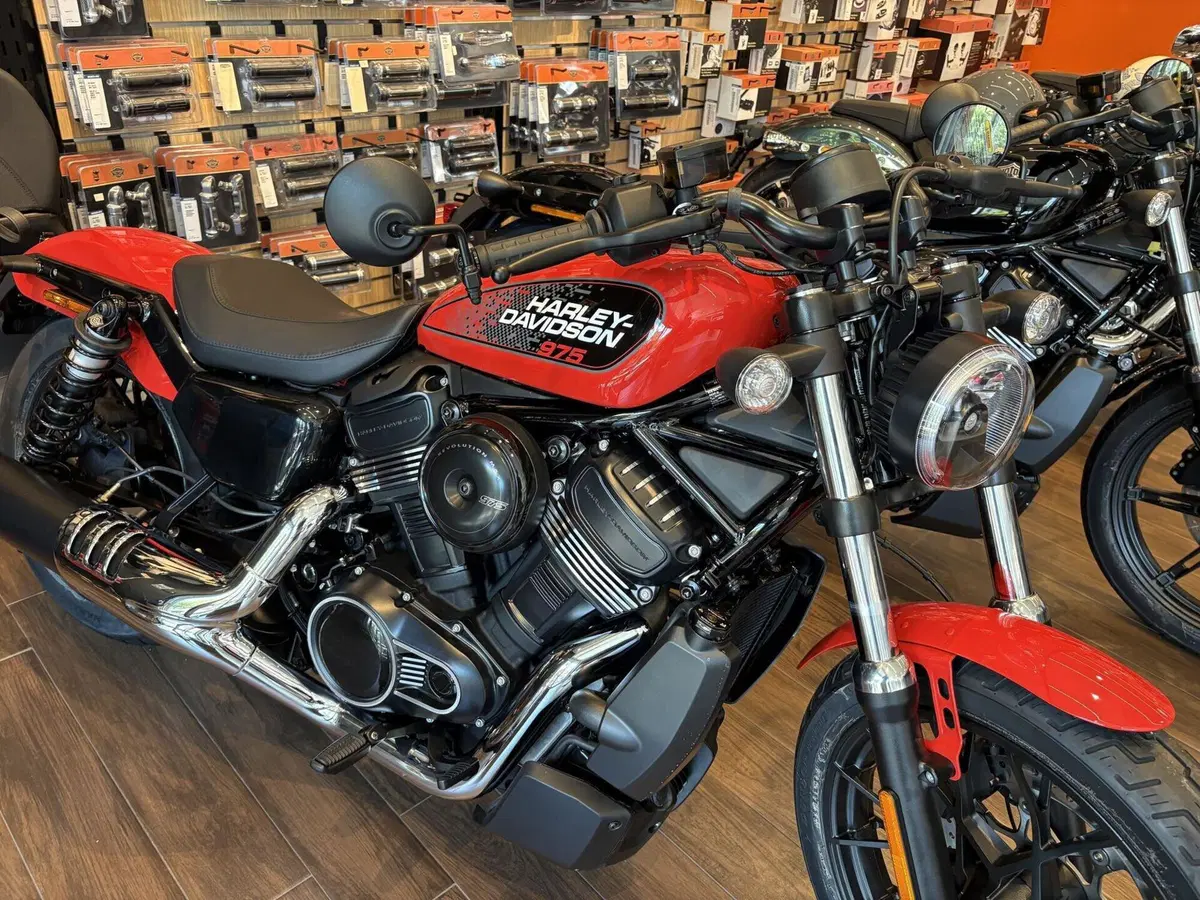 Harley-Davidson Nightster Special (2023 - 26) (7)