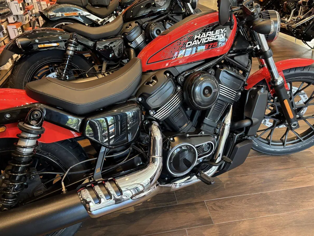 Harley-Davidson Nightster Special (2023 - 26) (8)